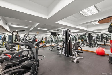 Experience luxury penthouse living in the heart of Rego Park! - photo 25