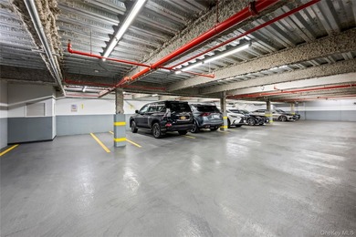 Experience luxury penthouse living in the heart of Rego Park! - photo 26