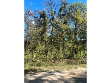 Lake Lot For Sale in Trinidad, Texas