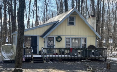 Lake Home For Sale in Pocono Lake, Pennsylvania