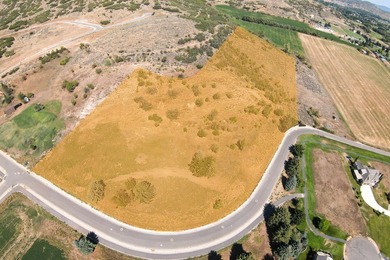 Unparalleled 10.83-Acre Panoramic Estate View Lot in Midway, UT - photo 7