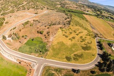 Unparalleled 10.83-Acre Panoramic Estate View Lot in Midway, UT - photo 9