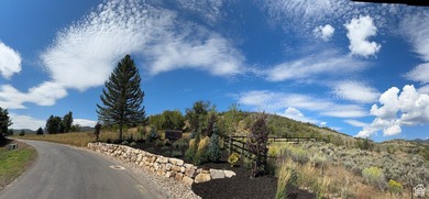 Unparalleled 10.83-Acre Panoramic Estate View Lot in Midway, UT - photo 10