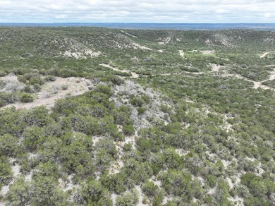(private lake, pond, creek) Acreage For Sale in Junction Texas