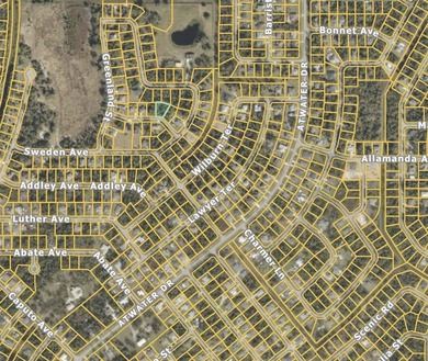 Opportunity to build or invest on this 1/4-acre residential lot - photo 3
