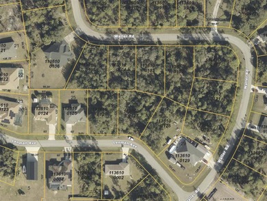 Opportunity to build or invest on this 1/4-acre residential lot - photo 4