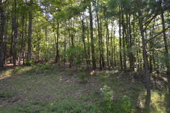 Beautiful lot ready to build your dream home located on the - Lake Lot For Sale in Dadeville, Alabama