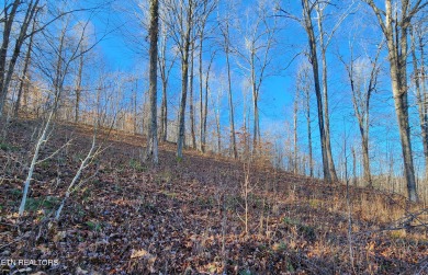 Norris Lake Lot For Sale in Lafollette Tennessee