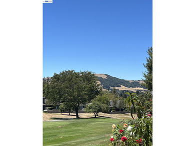 You will love this home in the coveted Crow Canyon Country Club - photo 43