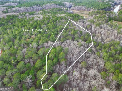 Lake Acreage For Sale in Franklin, Georgia