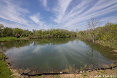Lake Condo For Sale in Grand Rapids, Michigan