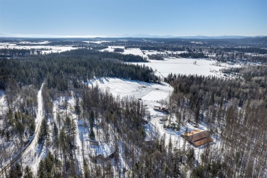 20+ acres located in the heart of Whitefish, Montana's - photo 4