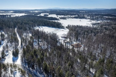 20+ acres located in the heart of Whitefish, Montana's - photo 9