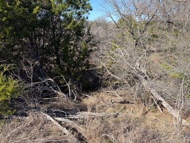 Five level acres ready to build on in The Hills Above Possum - photo 9