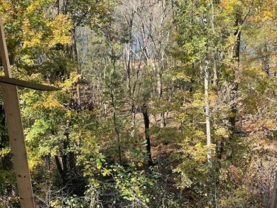 Lake Front Lodge with Guest House SOLD - photo 17
