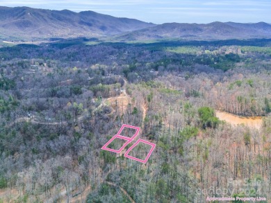 Lake Adger Acreage For Sale in Mill Spring North Carolina