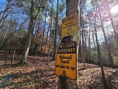 Toccoa River - Fannin County Lot For Sale in Suches Georgia