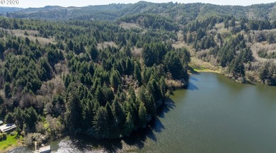 15.1 +/- ACRE LOT AVAILABLE ON DEVORE ARM WITH TENMILE LAKE - photo 14