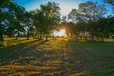 Welcome to an impressive, undeveloped waterfront tract on Bois - photo 17