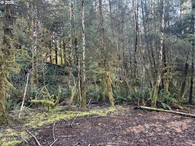 15.1 +/- ACRE LOT AVAILABLE ON DEVORE ARM WITH TENMILE LAKE - photo 26