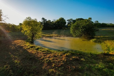 Welcome to an impressive, undeveloped waterfront tract on Bois - photo 27