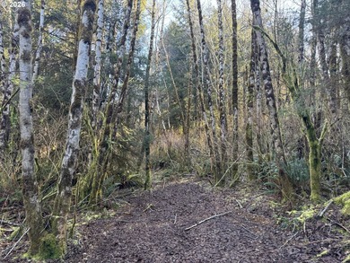 15.1 +/- ACRE LOT AVAILABLE ON DEVORE ARM WITH TENMILE LAKE - photo 27
