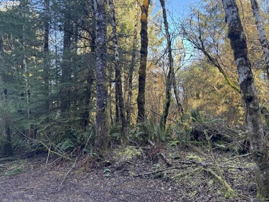 15.1 +/- ACRE LOT AVAILABLE ON DEVORE ARM WITH TENMILE LAKE - photo 28