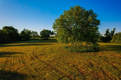 Welcome to an impressive, undeveloped waterfront tract on Bois - photo 29