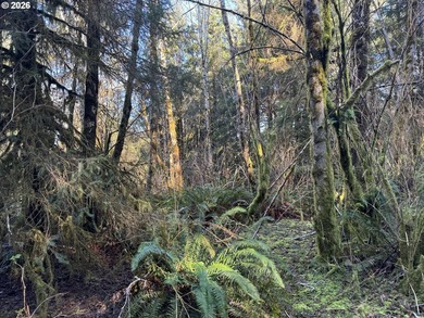 15.1 +/- ACRE LOT AVAILABLE ON DEVORE ARM WITH TENMILE LAKE - photo 29