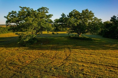 Welcome to an impressive, undeveloped waterfront tract on Bois - photo 30