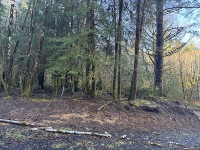 15.1 +/- ACRE LOT AVAILABLE ON DEVORE ARM WITH TENMILE LAKE - photo 30