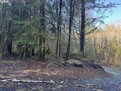 15.1 +/- ACRE LOT AVAILABLE ON DEVORE ARM WITH TENMILE LAKE - photo 31