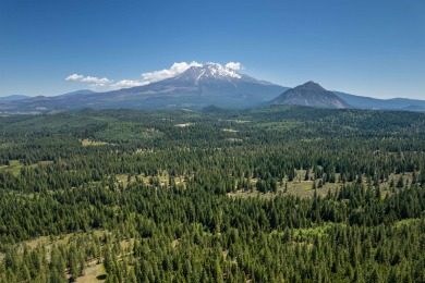 Shasta River Acreage For Sale in Weed California