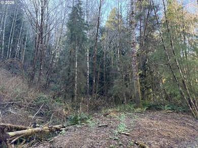 15.1 +/- ACRE LOT AVAILABLE ON DEVORE ARM WITH TENMILE LAKE - photo 32