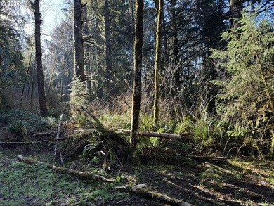 15.1 +/- ACRE LOT AVAILABLE ON DEVORE ARM WITH TENMILE LAKE - photo 34