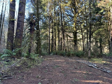 15.1 +/- ACRE LOT AVAILABLE ON DEVORE ARM WITH TENMILE LAKE - photo 35