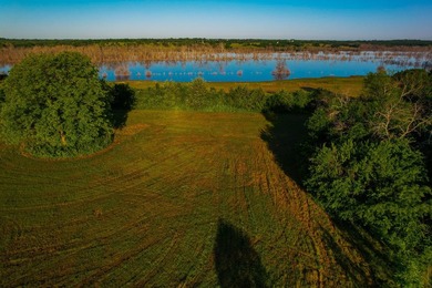 Welcome to an impressive, undeveloped waterfront tract on Bois - photo 36