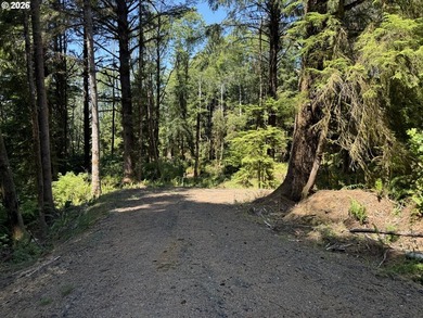 15.1 +/- ACRE LOT AVAILABLE ON DEVORE ARM WITH TENMILE LAKE - photo 39