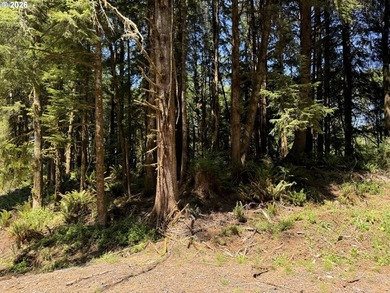 15.1 +/- ACRE LOT AVAILABLE ON DEVORE ARM WITH TENMILE LAKE - photo 40