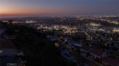 4109 Paseo De Las Tortugas - photo 49