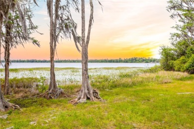 Lake Crosby Acreage For Sale in Starke Florida