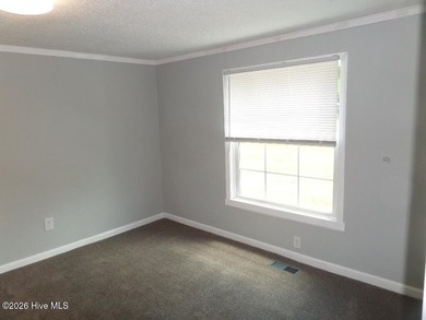 Discover this immaculate single-wide mobile home in New Bern - photo 22