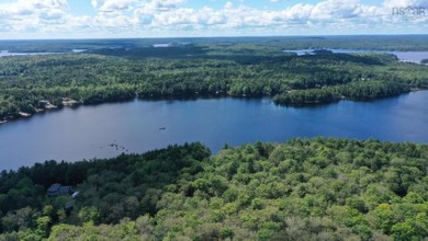 Lake Lot For Sale in Labelle, 