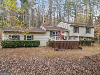 Lake Home For Sale in Ellijay, Georgia