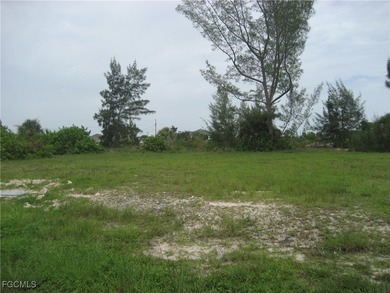 OVERSIZED PIE SHAPED LOT 0.27 Acre with intersecting canal view - photo 3