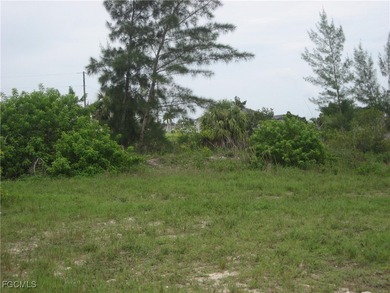 OVERSIZED PIE SHAPED LOT 0.27 Acre with intersecting canal view - photo 4