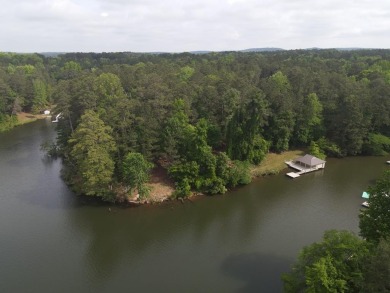 Lake Acreage For Sale in Hamilton, Georgia