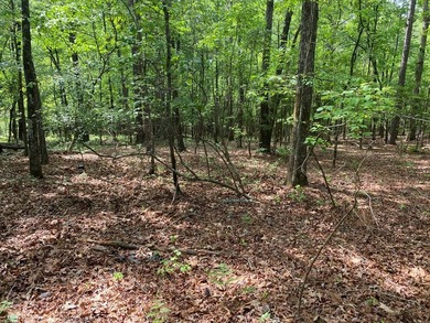 This deeded 21-acre property offers multiple homesites with - photo 8