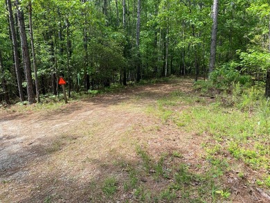 This deeded 21-acre property offers multiple homesites with - photo 10