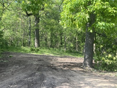 Lake Lot For Sale in Cedar Lake, Indiana